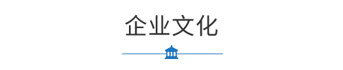 某某企业文化
