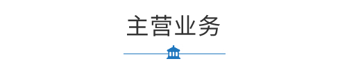 某某主营产品