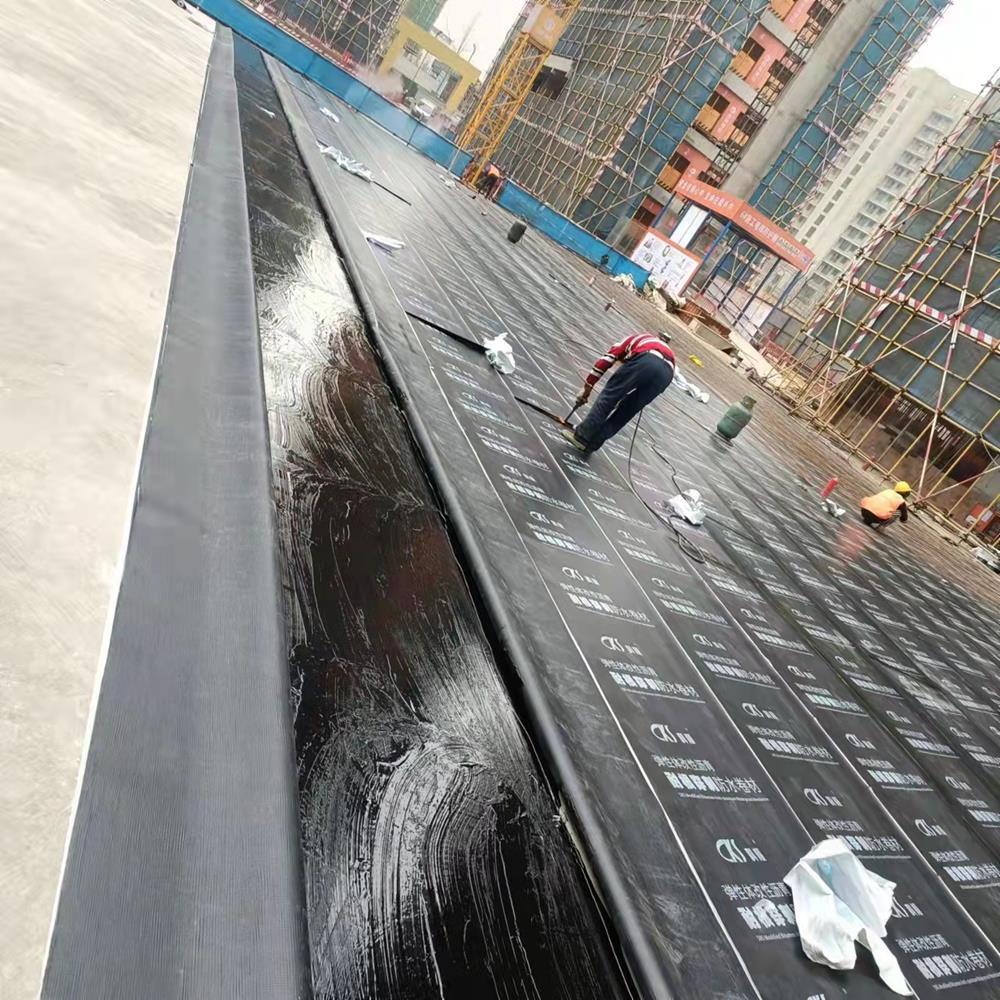 新川智慧医疗项目