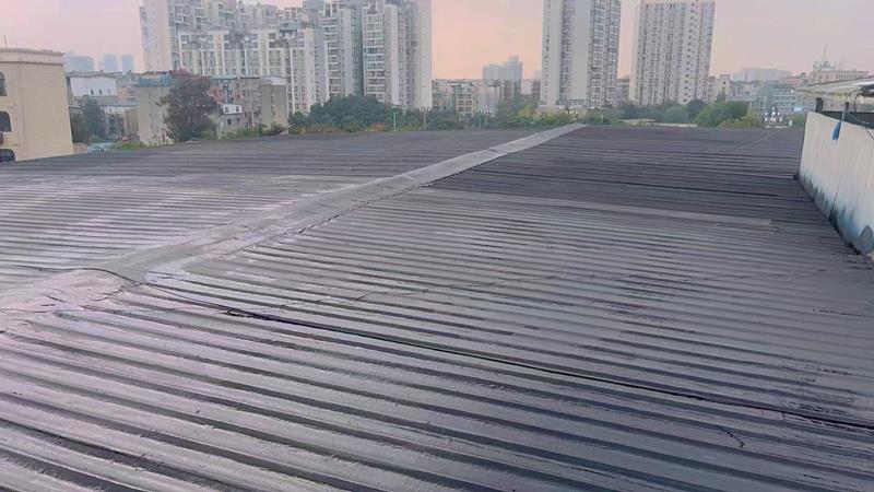 彩钢瓦屋面渗水问题案例分析报告