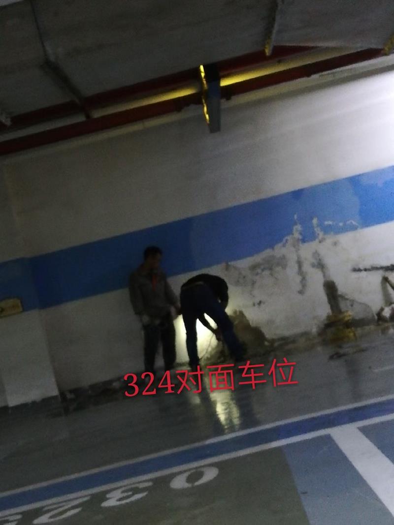 案例分析报告：地下室渗水问题