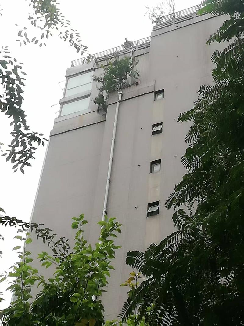 涂料外墙和瓷砖外墙渗水问题的系统解决方案