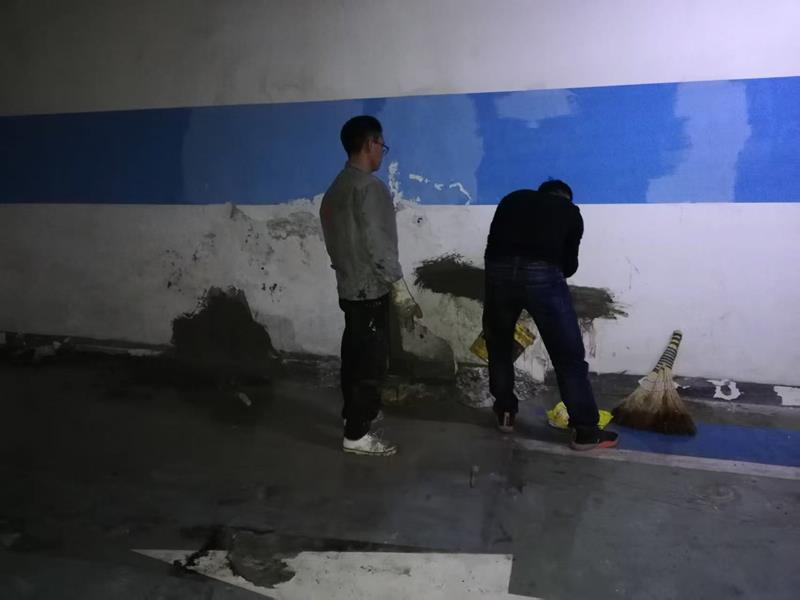 案例分析报告：地下室渗水问题